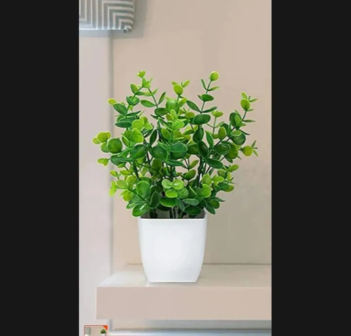 1 Pc Planter Pot